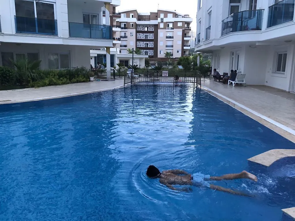 Bayar Homes City contacts